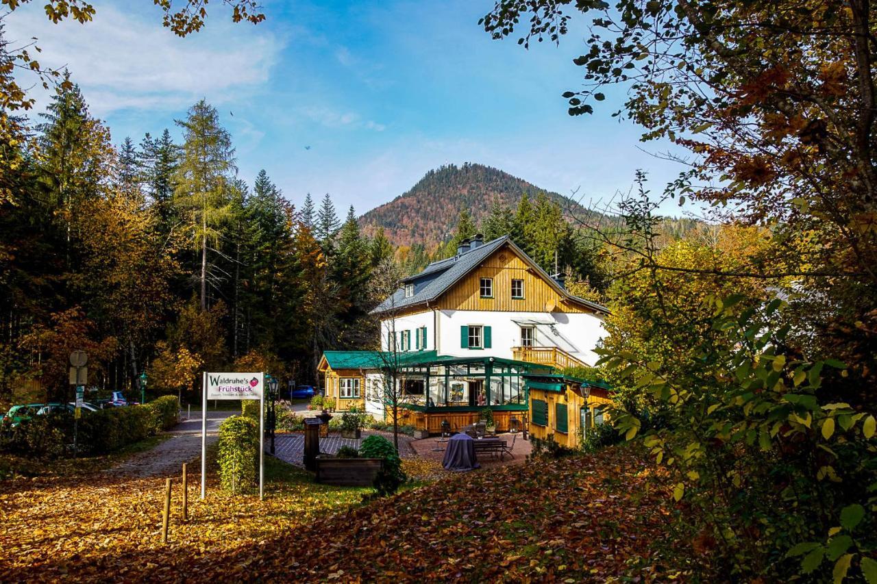 バート・アウスゼー Waldruhe - Bett, Fruehstueck & Ein Laecheln Bed & Breakfast エクステリア 写真